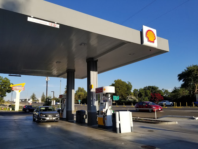 Shell Olive Dr